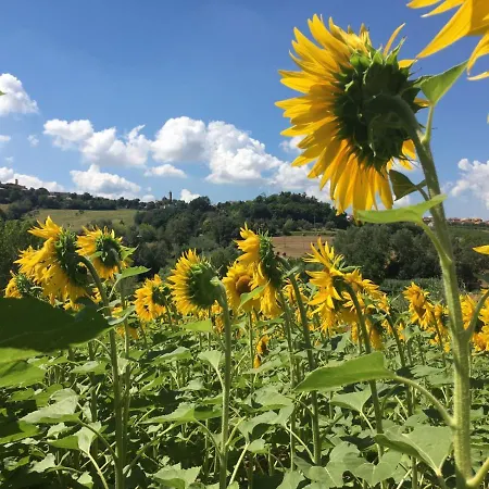 Il Giardino Tavullia