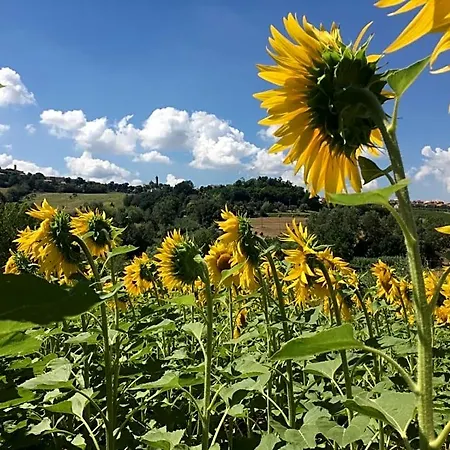 Frühstückspension Il Giardino 3*
