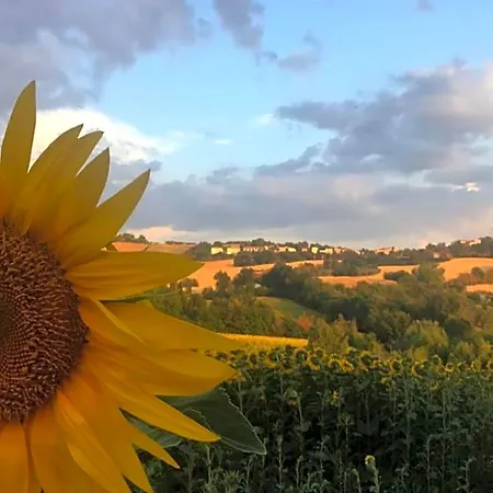 Il Giardino