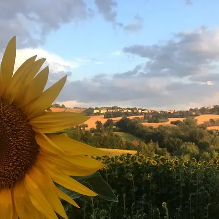 Bed & Breakfast Il Giardino *