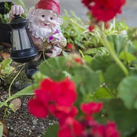 Bed & Breakfast Il Giardino