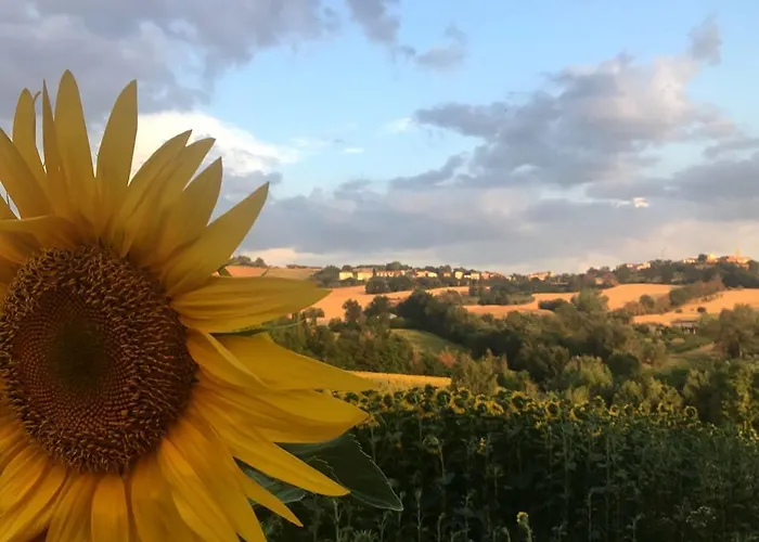 Bed & Breakfast Il Giardino 3*